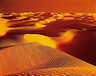 复古策略探索游戏《SKALD：攻打黑修院》现已正式推出 Steam获特别好评