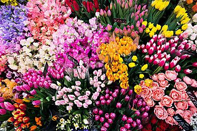 《寂静岭2》重制版全球销量突破250万 系列总销量超千万